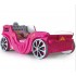 Princess Carriage Bed – A Dream Bed for Your Little Princess